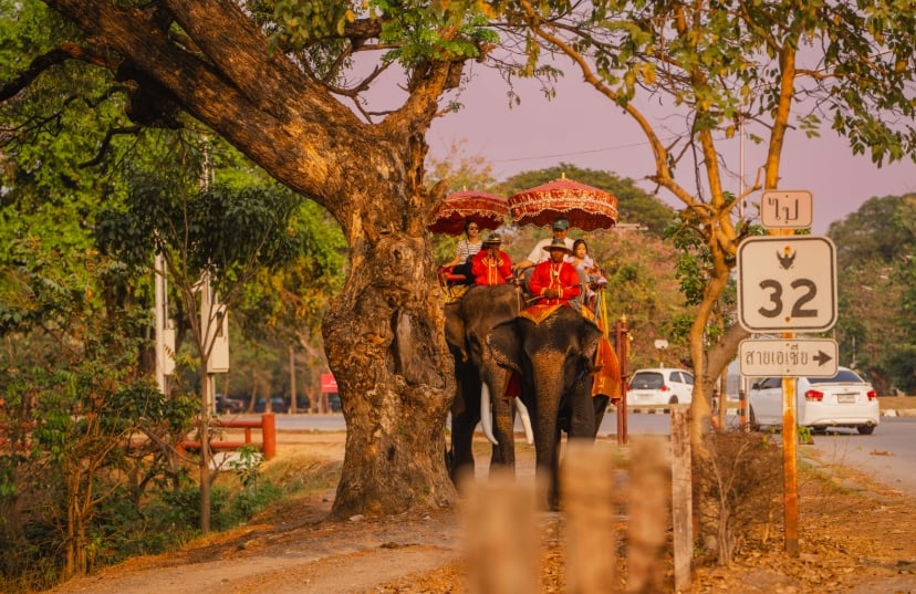 (아속출발) 아유타야 선셋 리버크루즈 반일 투어