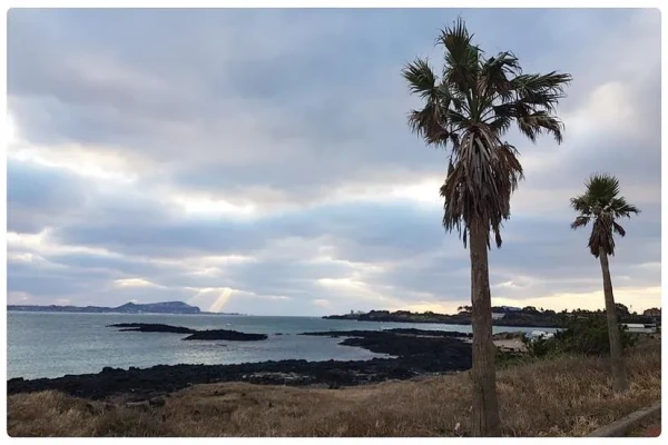 Jeju Rainbow Pension & Guest House