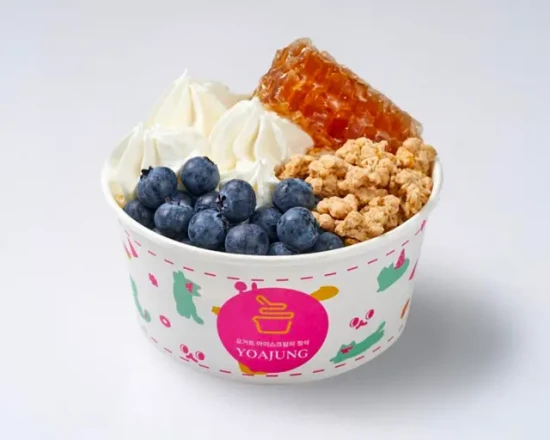ヨアジョン ｜ヨーグルトアイスクリーム配送