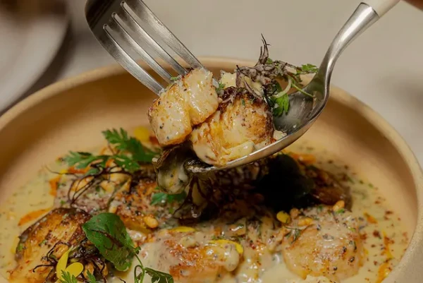 シムパティクス（SZIMPATIKUS）ソウル駅店｜ファインダイニング＆ワインバー