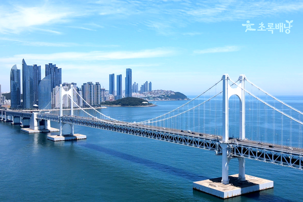 Busan Seven Bridges Day TourㅣBusan Departure