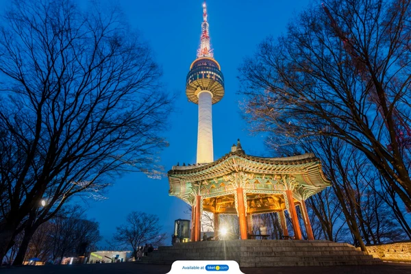 Includes Meals Entrance fees for tourist attractions Dedicated vehicles Guide/article expenses