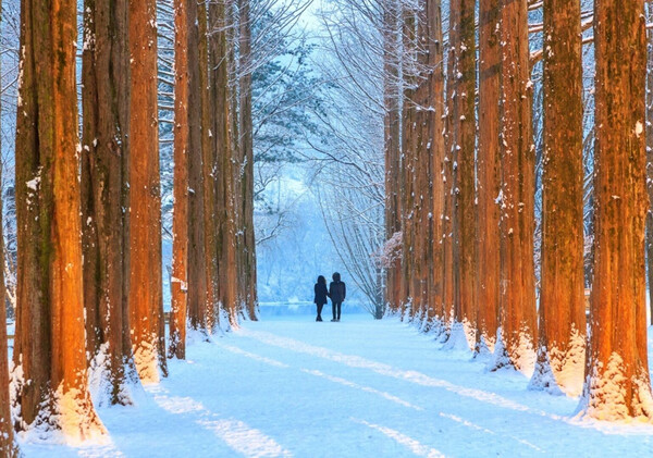 [From Seoul] Eobi Valley, Nami Island & Rail Bike (1-Day Tour)