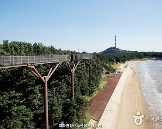 Traveling to Korea for Foreigners - 3 Days and 2 Nights on the West Coast (Mokpo, Haenam, Gochang)