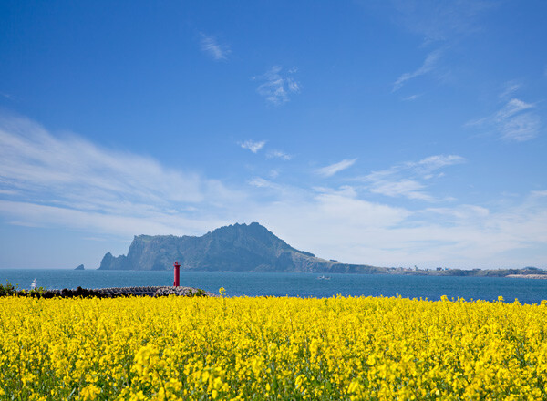 Complete Korea Round Trip – 13 Days of Culture, Nature & Cities