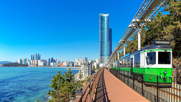 Busan Seven Bridges Day TourㅣBusan Departure
