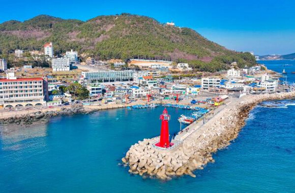 Korea Influencer 5D 4N Tour – Seoul 2 Nights & Busan 2 Nights (No Shopping / No Option / No Tip)