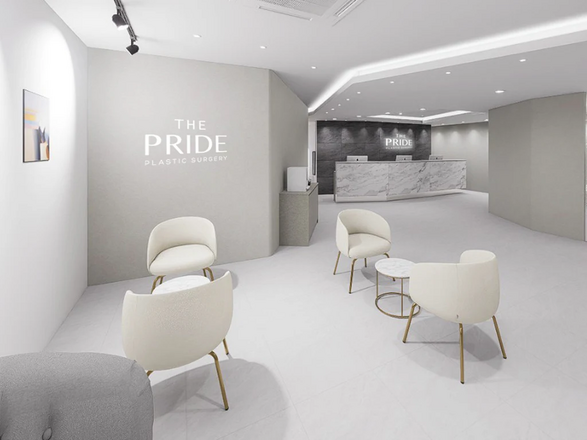 THE PRIDE PLASTIC SURGERY