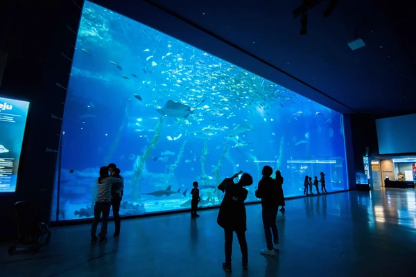 Type1_아쿠아플라넷 제주_라이브스튜디오_oAkera.jpg