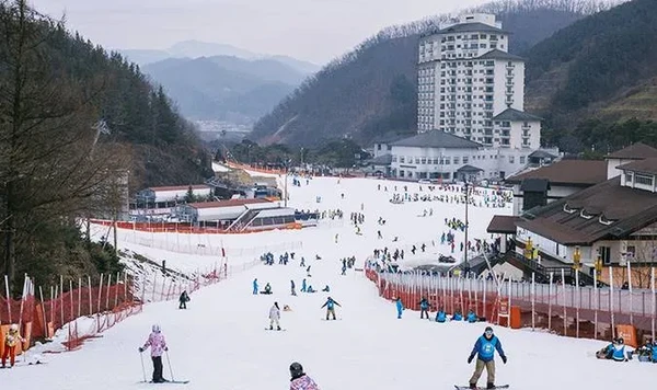 Korea Influencer 4D 3N Tour – Seoul 2 Nights & Nami Island + Ski Resort 1 Night (Ski Lesson & Rental Included) (No Shopping / No Option / No Tip)