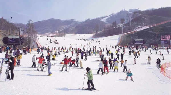 Korea Influencer 5D4N Tour – Seoul 3 Nights & Nami Island + Ski Resort 1 Night (Ski Lesson & Rental Included) (No Shopping / No Option / No Tip)