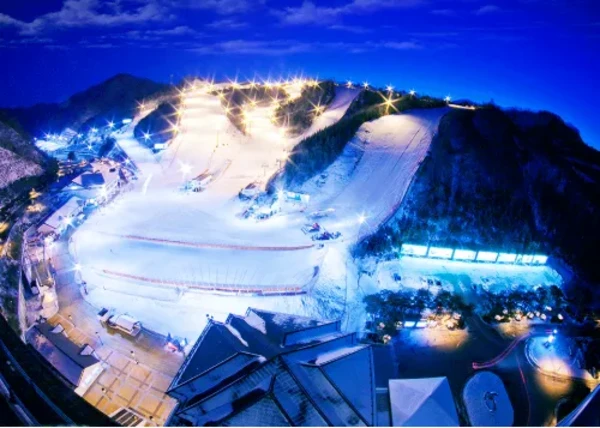 Korea Influencer 5D4N Tour – Seoul 3 Nights & Nami Island + Ski Resort 1 Night (Ski Lesson & Rental Included) (No Shopping / No Option / No Tip)