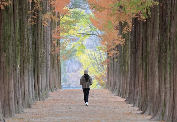 Based on 4 or 2 Peaple | Morning Arrival |  K-Beauty Skin Treatment + Nami Island Day Tour & Seoul Leisure (4 Nights / 5 Days)