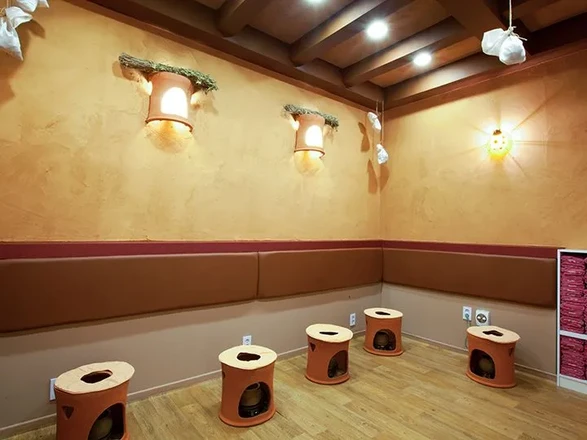 Asuca | Myeongdong Spa