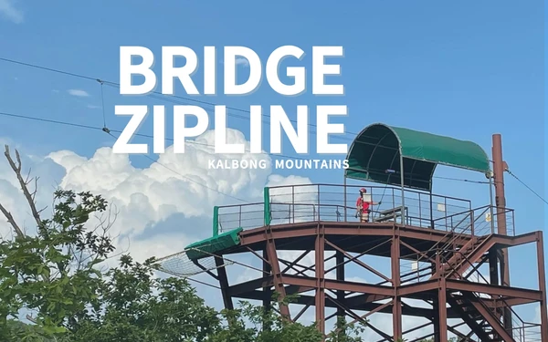 Bridge zipline