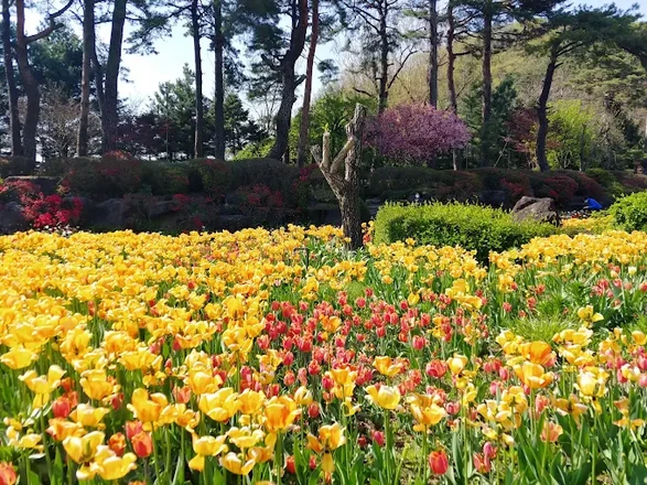Byeokchoji Botanical Garden