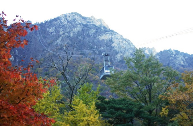 Gangwon-do 2-Day Tour (Inje · Sokcho · Wondae-ri Birch Forest · Seoraksan) – Seoul Departure
