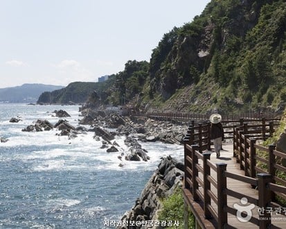Gangwon-do Eastern Region 3-Day Tour (Gangneung · Sokcho · Samcheok) – Departing from Seoul
