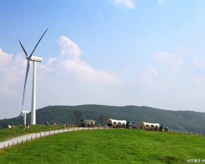 Gangwon-do Eastern Region 3-Day Tour (Gangneung · Sokcho · Samcheok) – Departing from Seoul