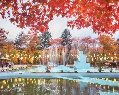 Namiseom + Petite France + Italian Village + Dongdaemun Market Day Trip (1-day tour)