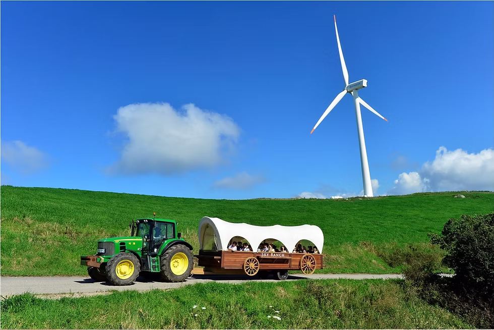 Gangwon-do Eastern Region 3-Day Tour (Gangneung · Sokcho · Samcheok) – Departing from Seoul