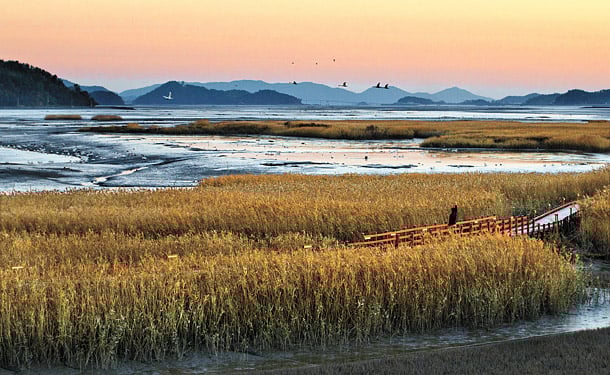 Jeollanam-do 3-Day Tour (Jeongeup · Haenam · Gangjin · Damyang) – Departing from Seoul