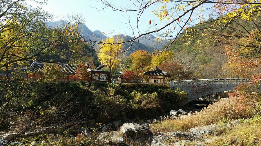 Gyeongsang Province 3-Day Tour (Mungyeong · Gyeongju · Pohang) – Departure from Seoul