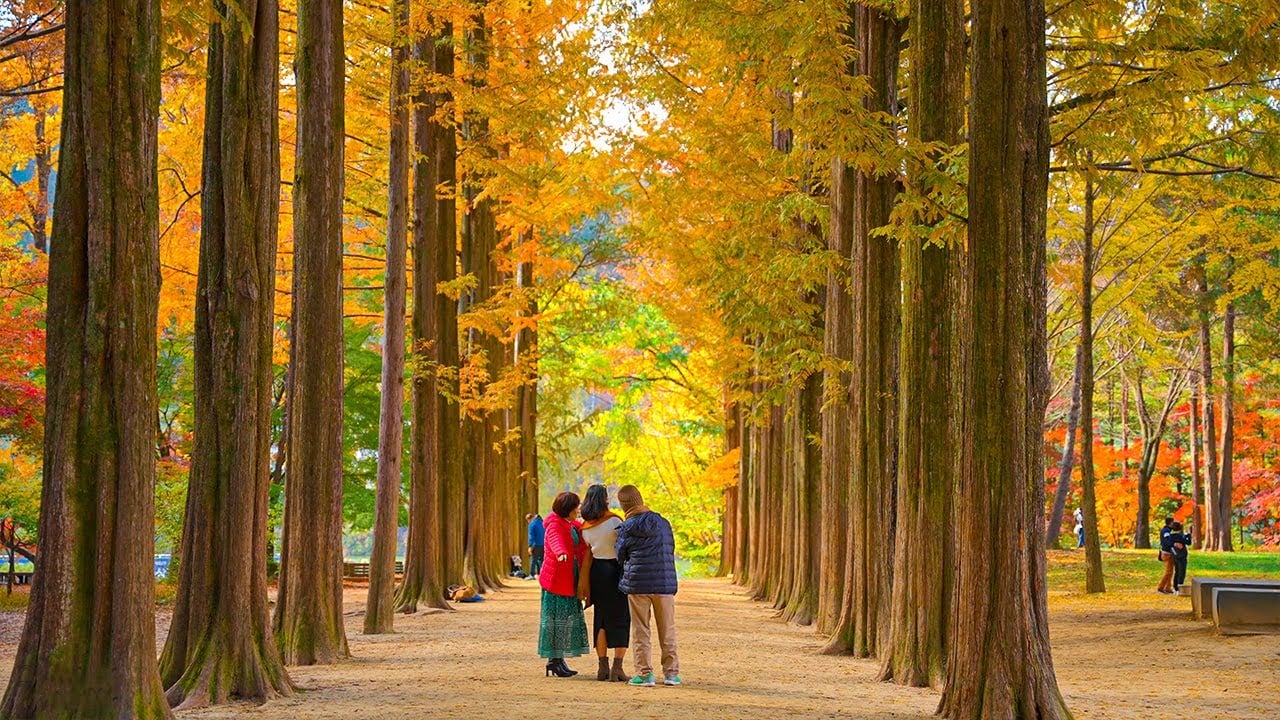 Korea Influencer 5D4N Tour – Seoul Folk Village & Everland · Gangwon: Nami Island & Mt. Seorak (No Shopping / No Option / No Tip)