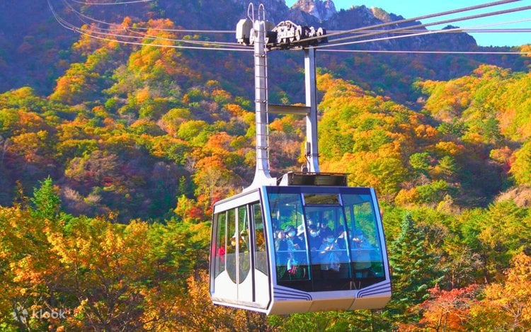 Korea Influencer 5D4N Tour – Seoul Folk Village & Everland · Gangwon: Nami Island & Mt. Seorak (No Shopping / No Option / No Tip)