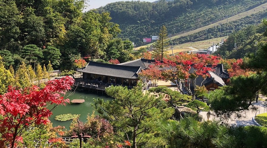 Hwadam Botanic Garden + Zoolung Zoolung + Starfield Hanam Mall Day Tour | Seoul Departure