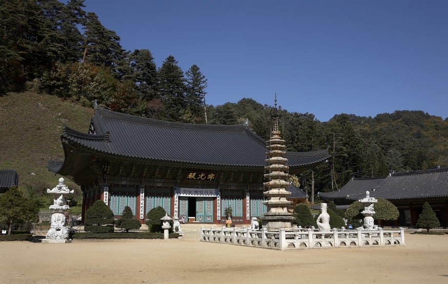 Pyeongchang & Jeongseon 2-Day Tour (Meadow Routes · Sky Road · Sensory Travel) – Seoul Departure