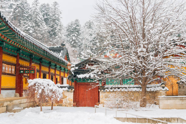 Pyeongchang & Jeongseon 2-Day Tour (Meadow Routes · Sky Road · Sensory Travel) – Seoul Departure