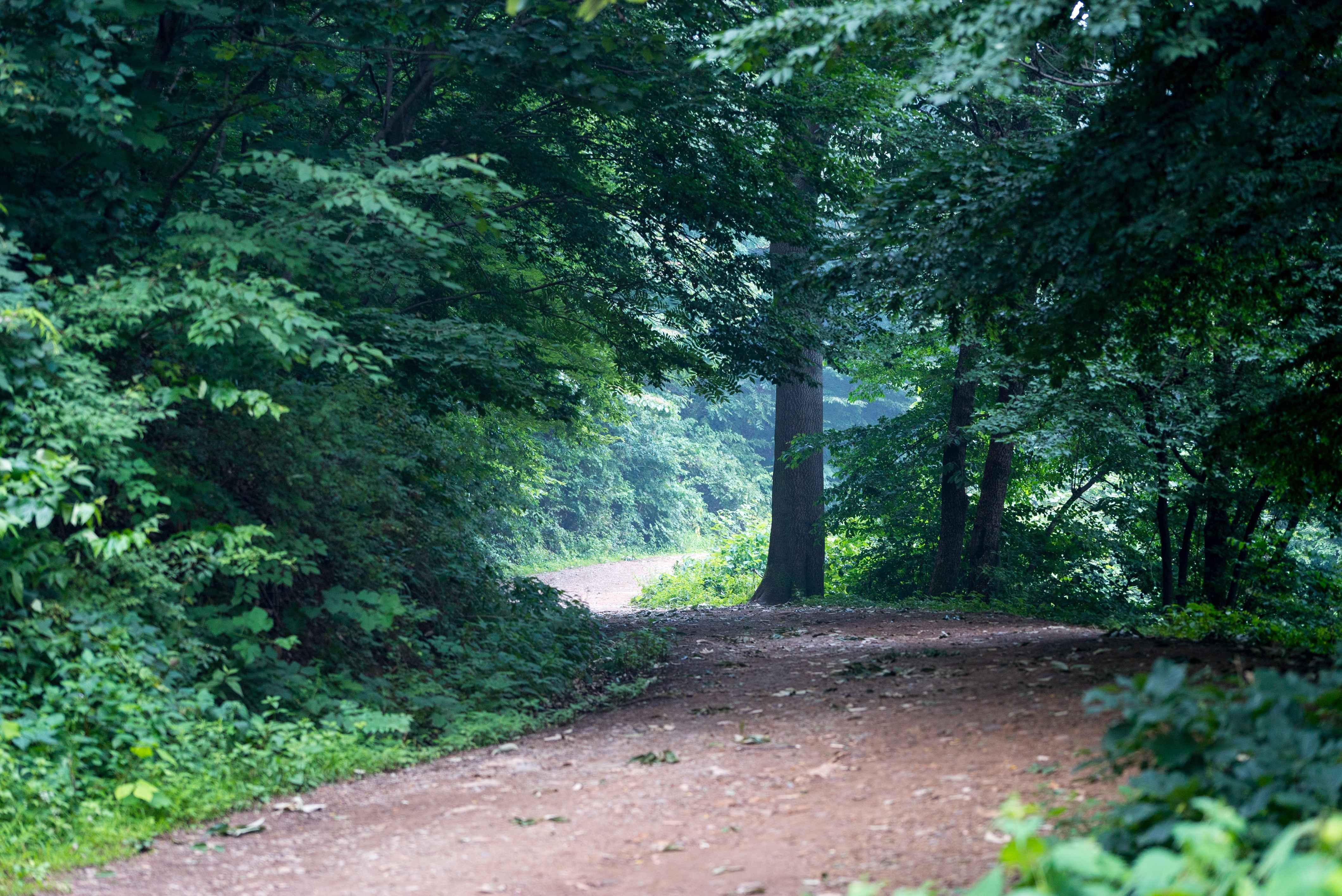 Jeollanam-do 3-Day Tour (Jeongeup · Haenam · Gangjin · Damyang) – Departing from Seoul