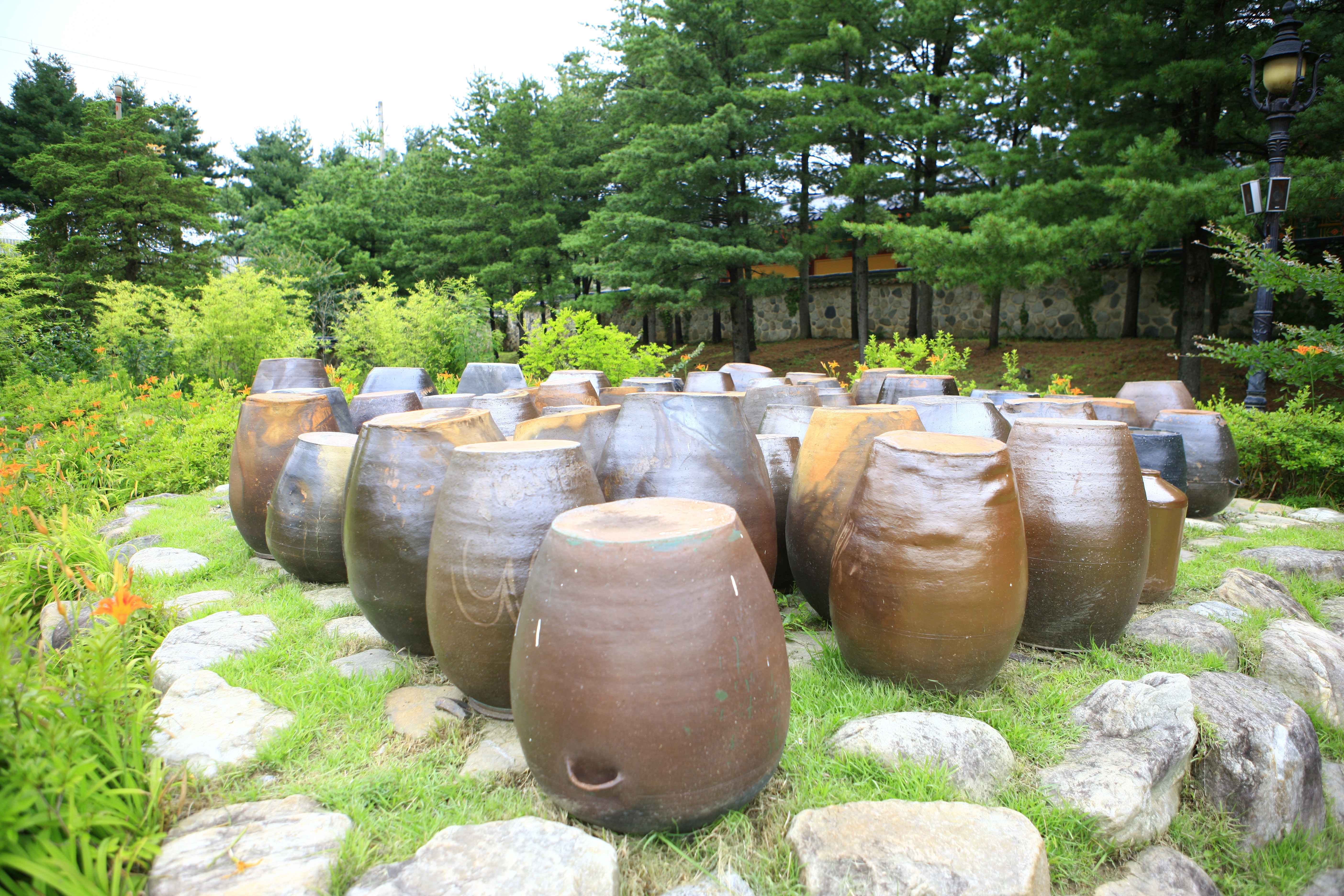 Gangwon-do Eastern Region 3-Day Tour (Gangneung · Sokcho · Samcheok) – Departing from Seoul