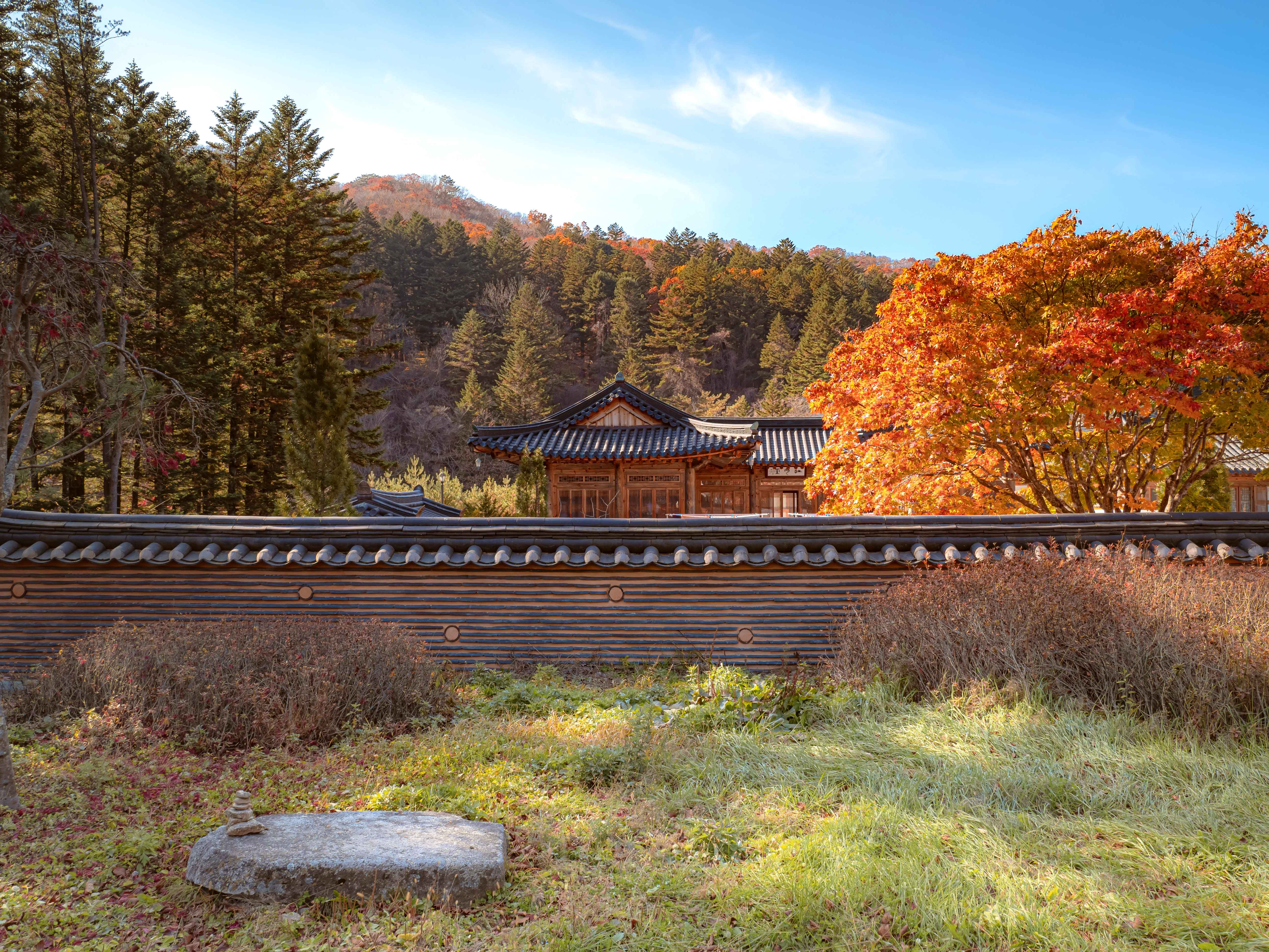 Gangwon-do Eastern Region 3-Day Tour (Gangneung · Sokcho · Samcheok) – Departing from Seoul