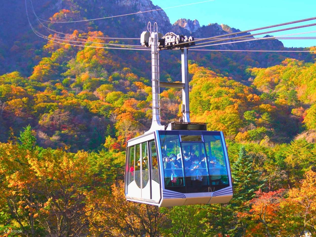 Gangwon-do 2-Day Tour (Inje · Sokcho · Wondae-ri Birch Forest · Seoraksan) – Seoul Departure