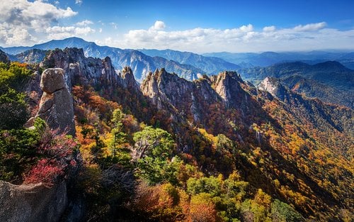 Gangwon-do 2-Day Tour (Inje · Sokcho · Wondae-ri Birch Forest · Seoraksan) – Seoul Departure