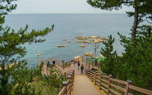 Gangwon-do 2-Day Tour (Inje · Sokcho · Wondae-ri Birch Forest · Seoraksan) – Seoul Departure